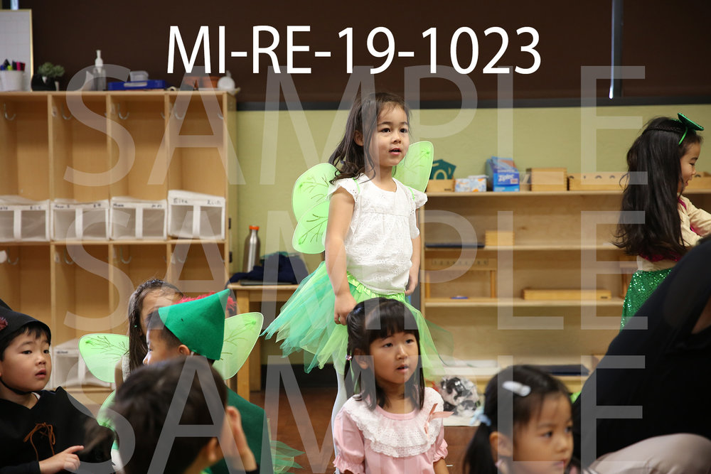MI-RE-19-1023.jpg