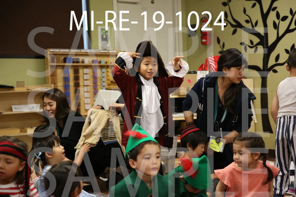 MI-RE-19-1024.jpg