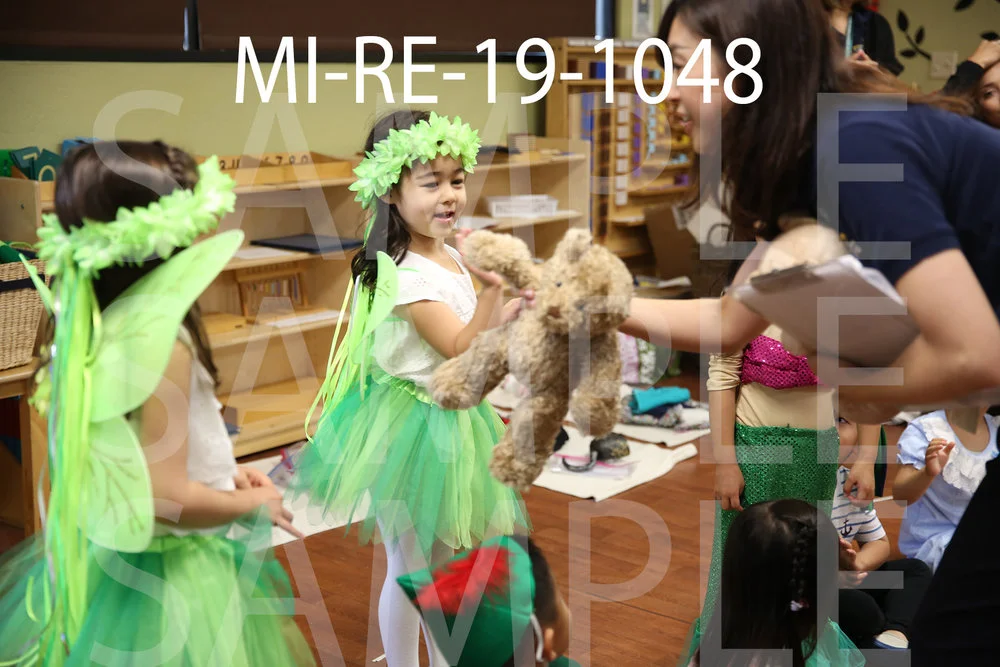 MI-RE-19-1048.jpg