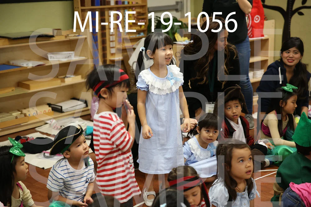 MI-RE-19-1056.jpg