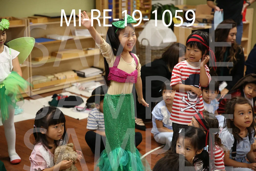 MI-RE-19-1059.jpg