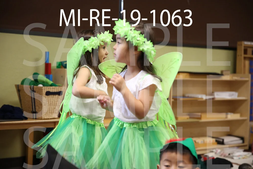MI-RE-19-1063.jpg