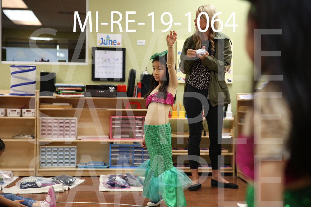 MI-RE-19-1064.jpg