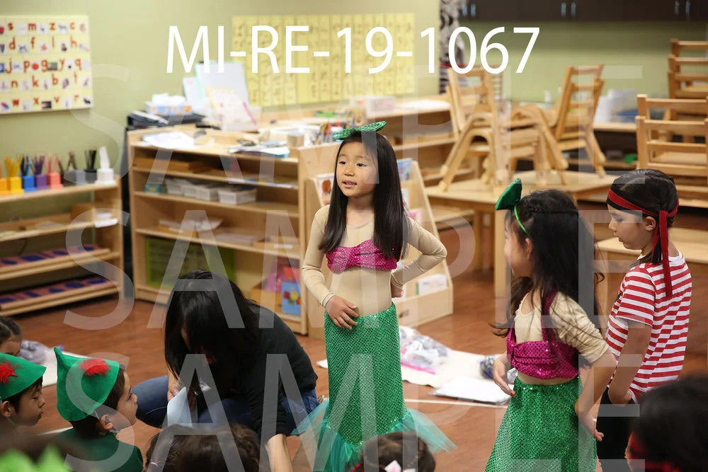 MI-RE-19-1067.jpg