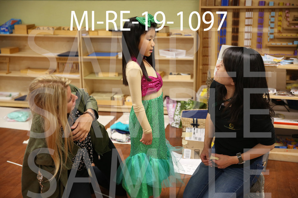 MI-RE-19-1097.jpg