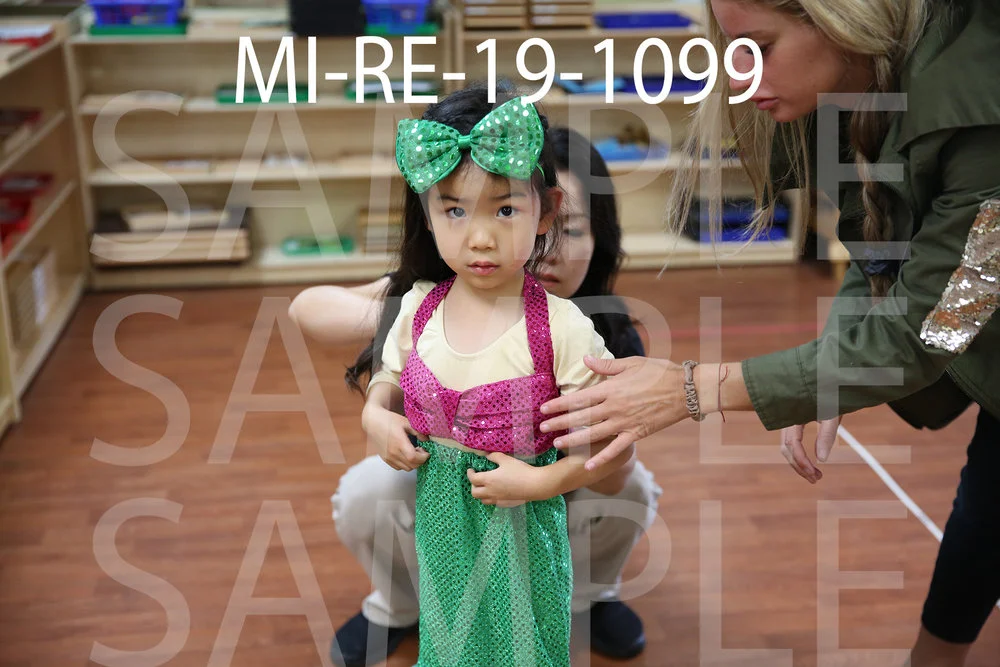 MI-RE-19-1099.jpg