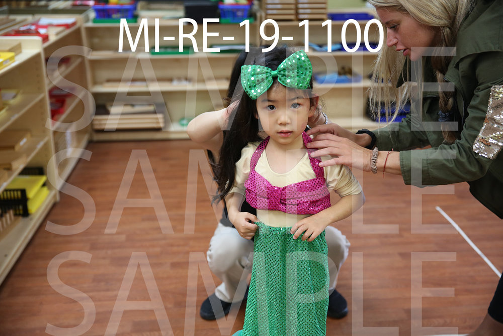 MI-RE-19-1100.jpg