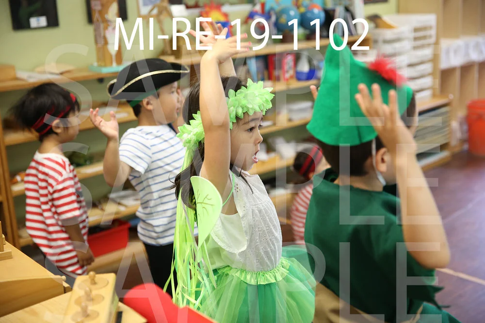 MI-RE-19-1102.jpg