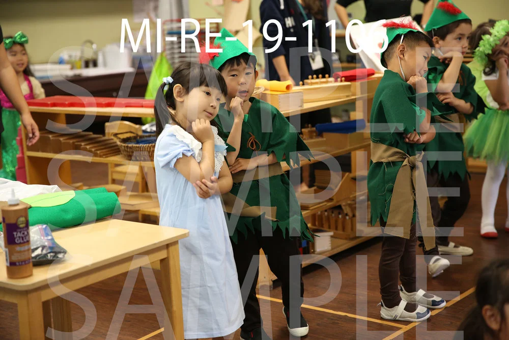 MI-RE-19-1106.jpg