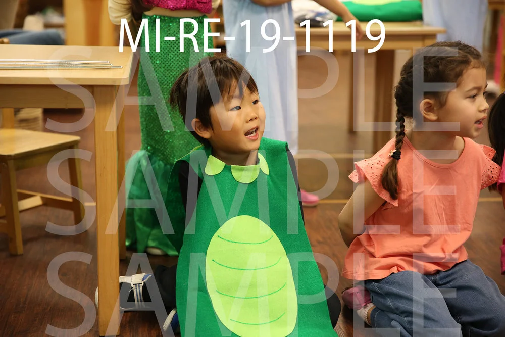MI-RE-19-1119.jpg