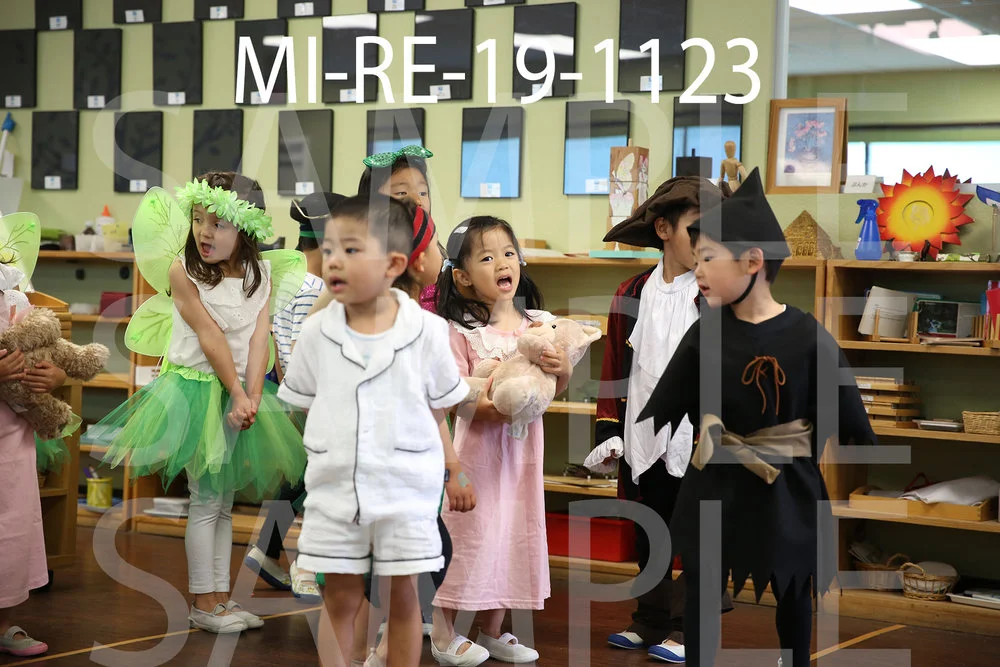 MI-RE-19-1123.jpg