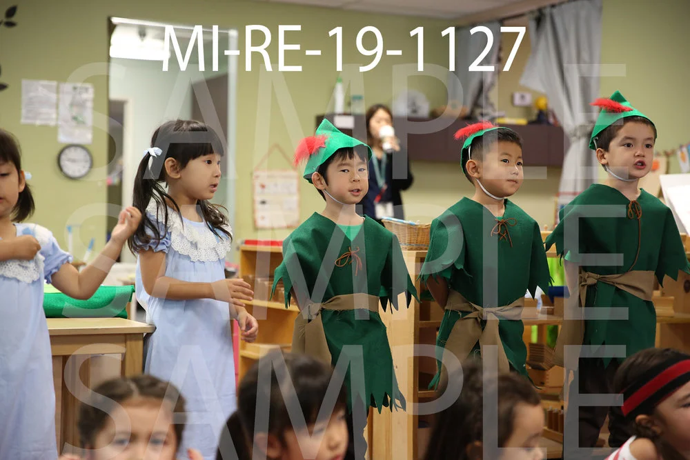 MI-RE-19-1127.jpg