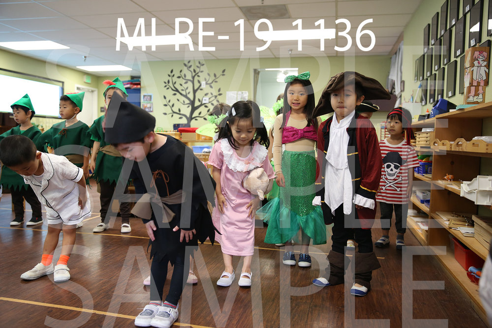 MI-RE-19-1136.jpg