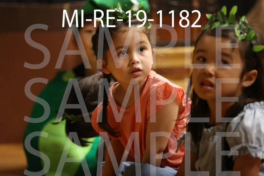 MI-RE-19-1182.jpg