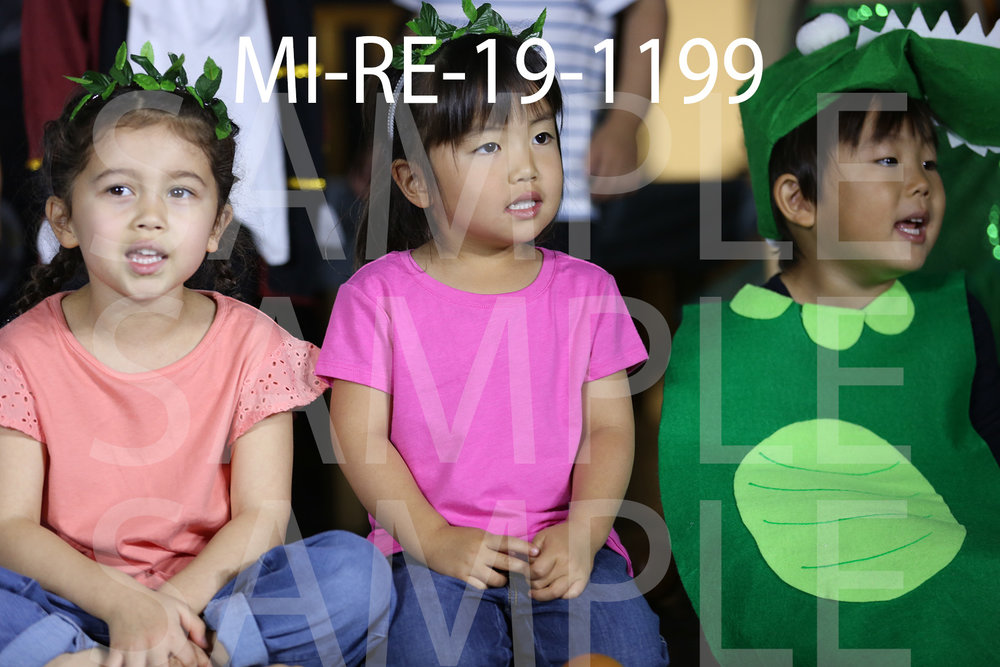 MI-RE-19-1199.jpg