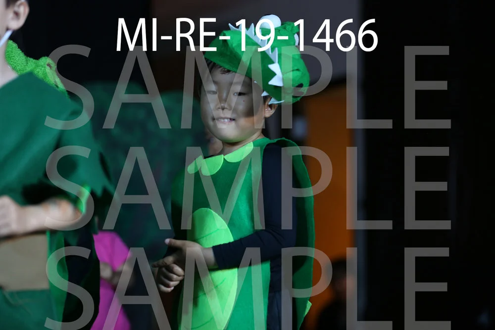 MI-RE-19-1466.jpg