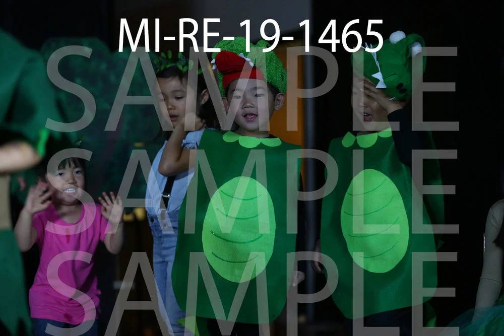 MI-RE-19-1465.jpg