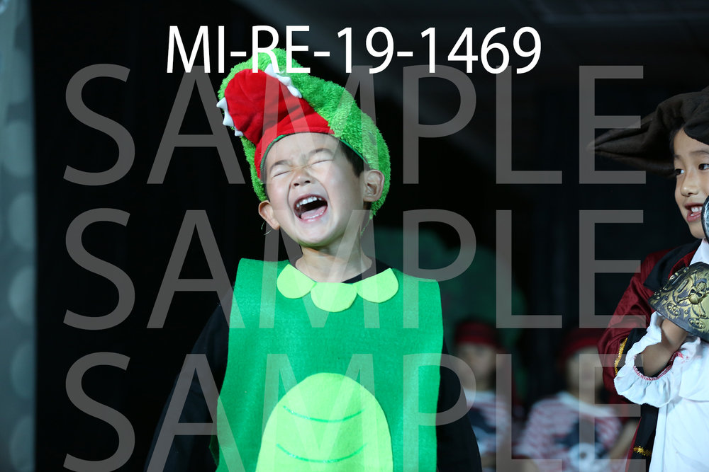 MI-RE-19-1469.jpg