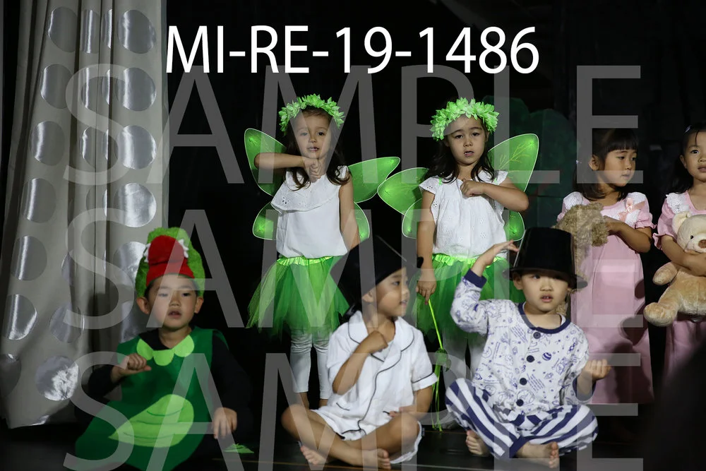 MI-RE-19-1486.jpg