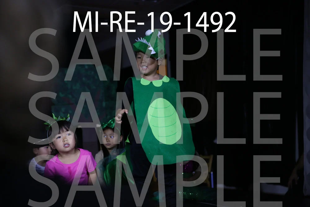 MI-RE-19-1492.jpg