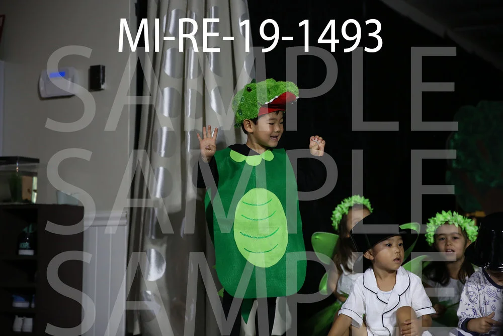 MI-RE-19-1493.jpg