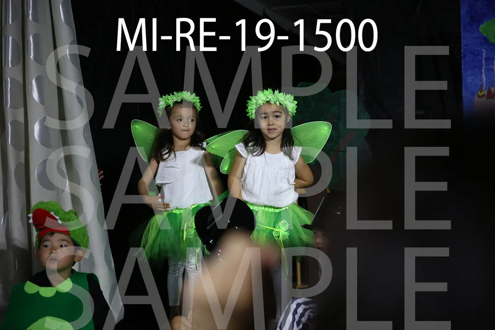 MI-RE-19-1500.jpg