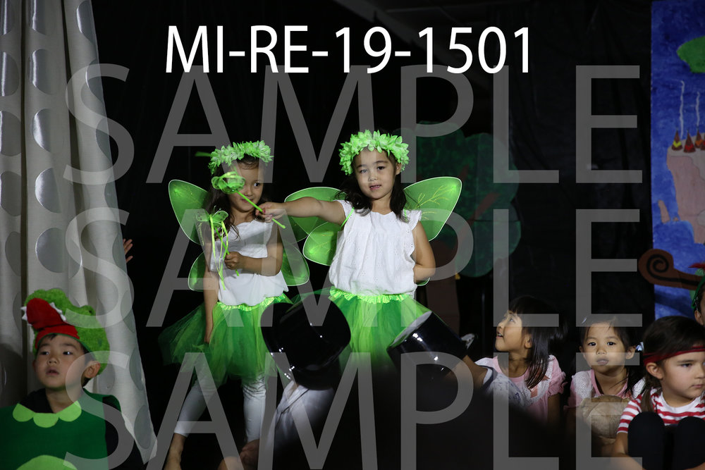 MI-RE-19-1501.jpg