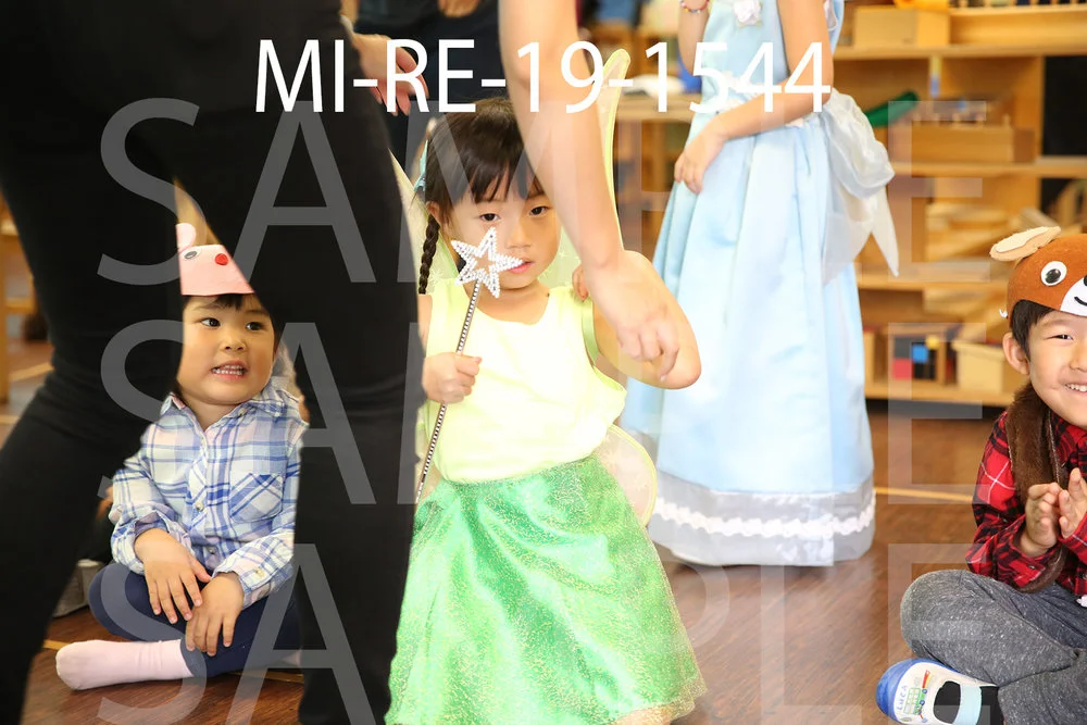 MI-RE-19-1544.jpg