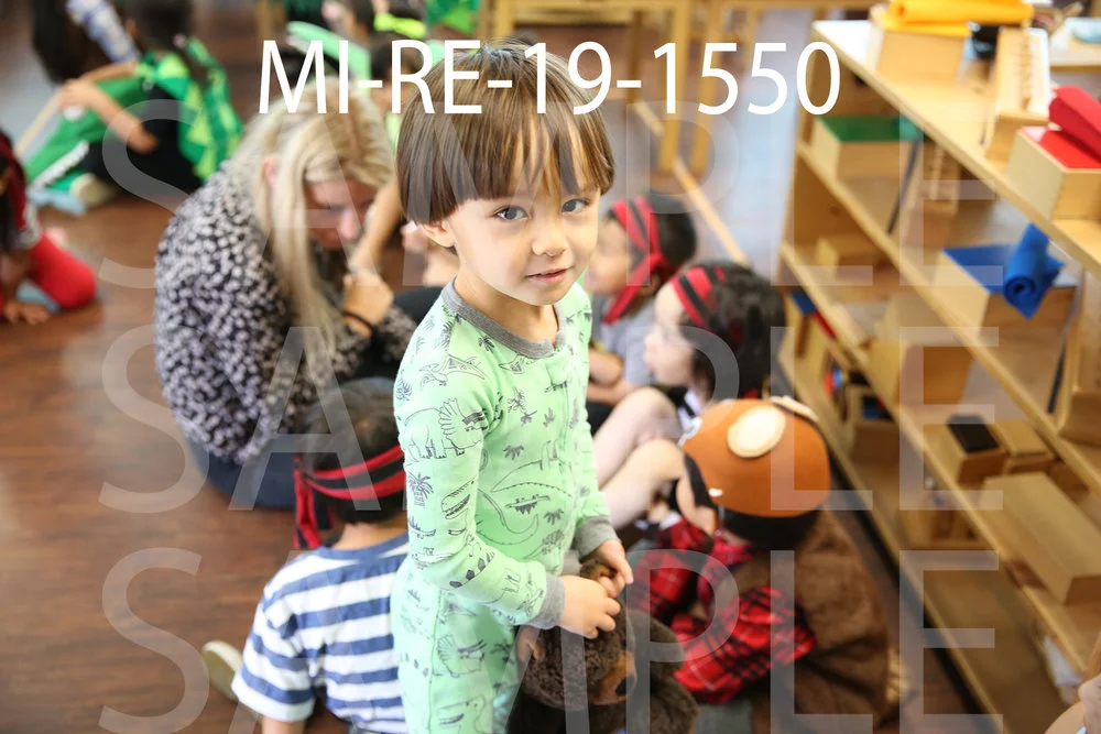 MI-RE-19-1550.jpg