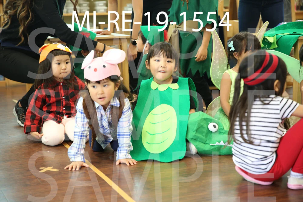 MI-RE-19-1554.jpg