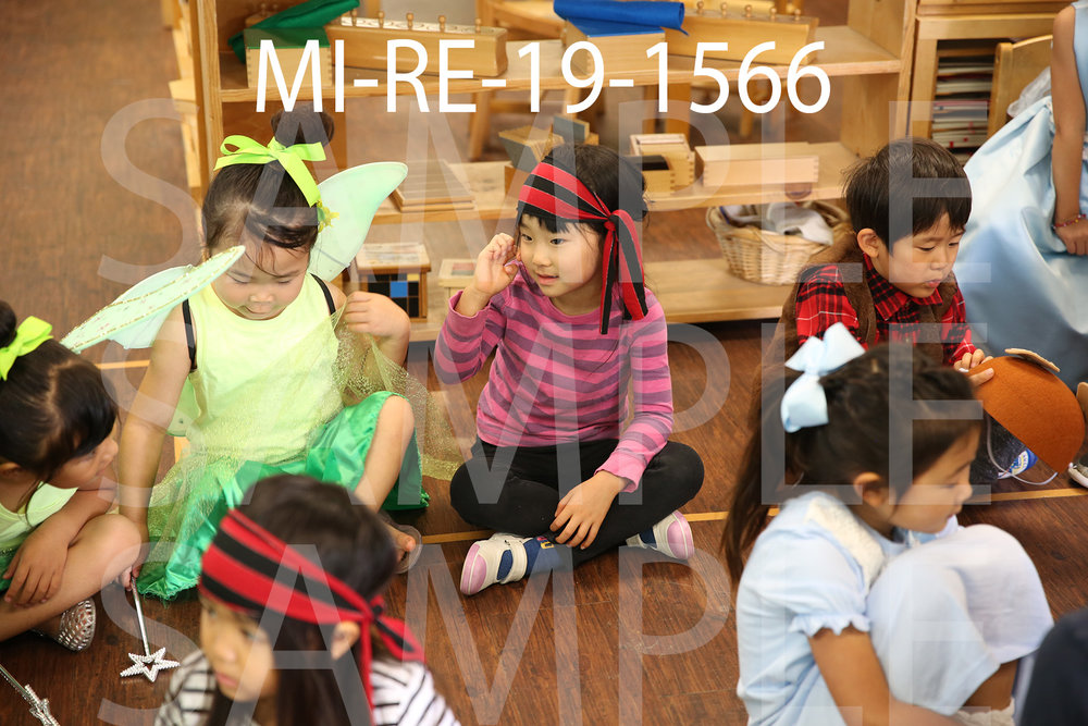 MI-RE-19-1566.jpg