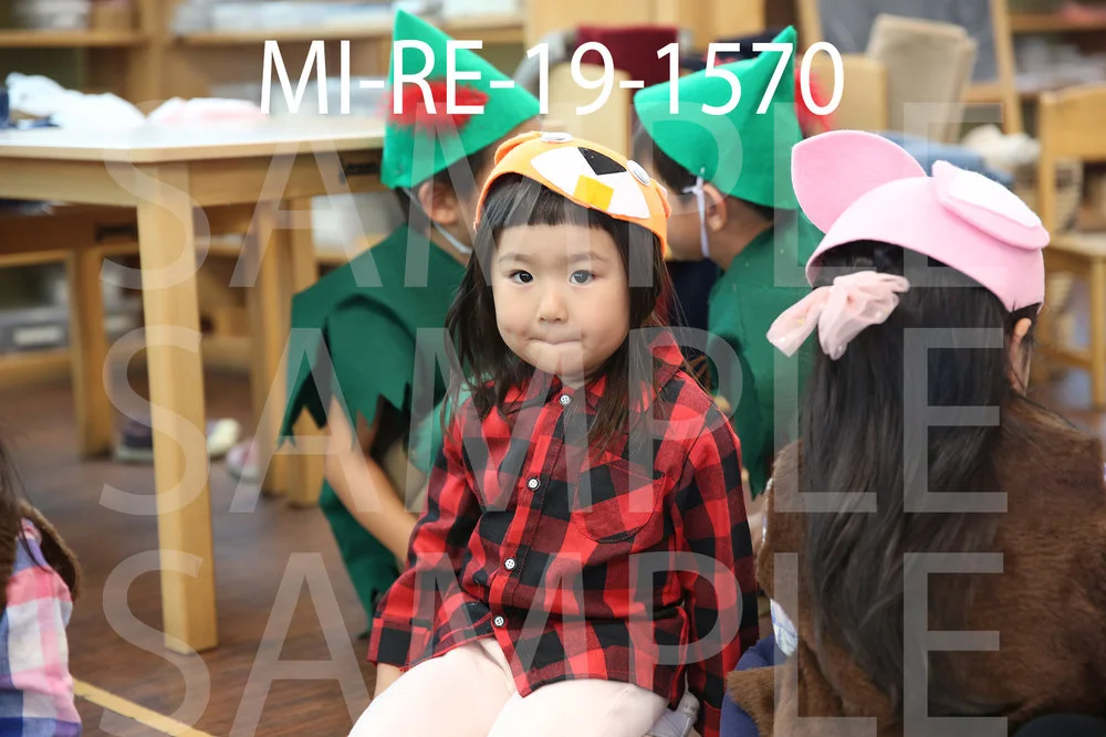 MI-RE-19-1570.jpg