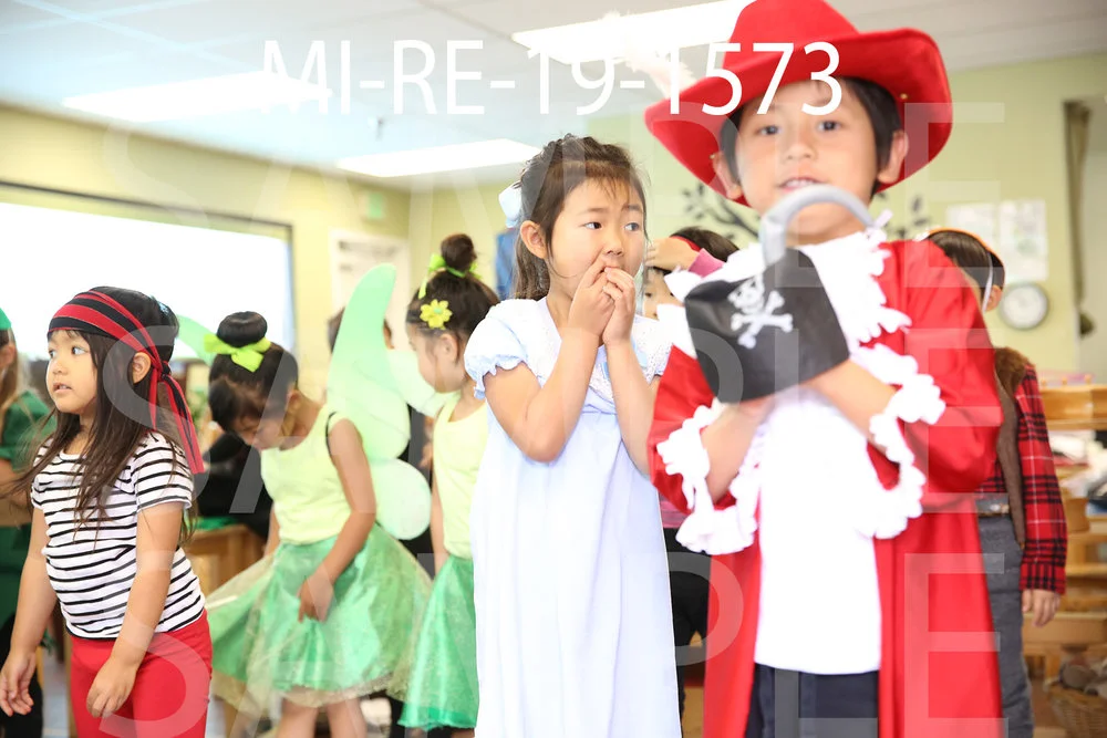 MI-RE-19-1573.jpg