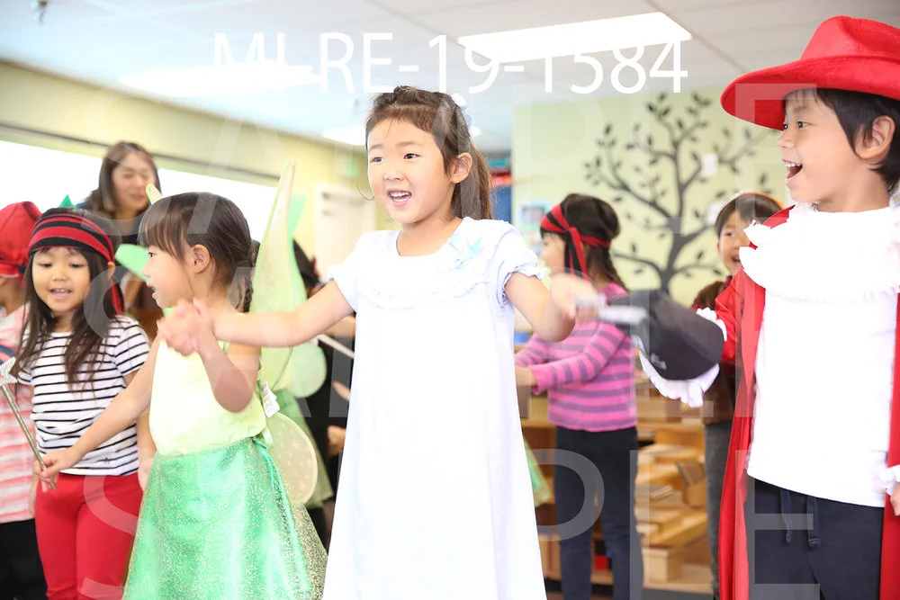 MI-RE-19-1584.jpg