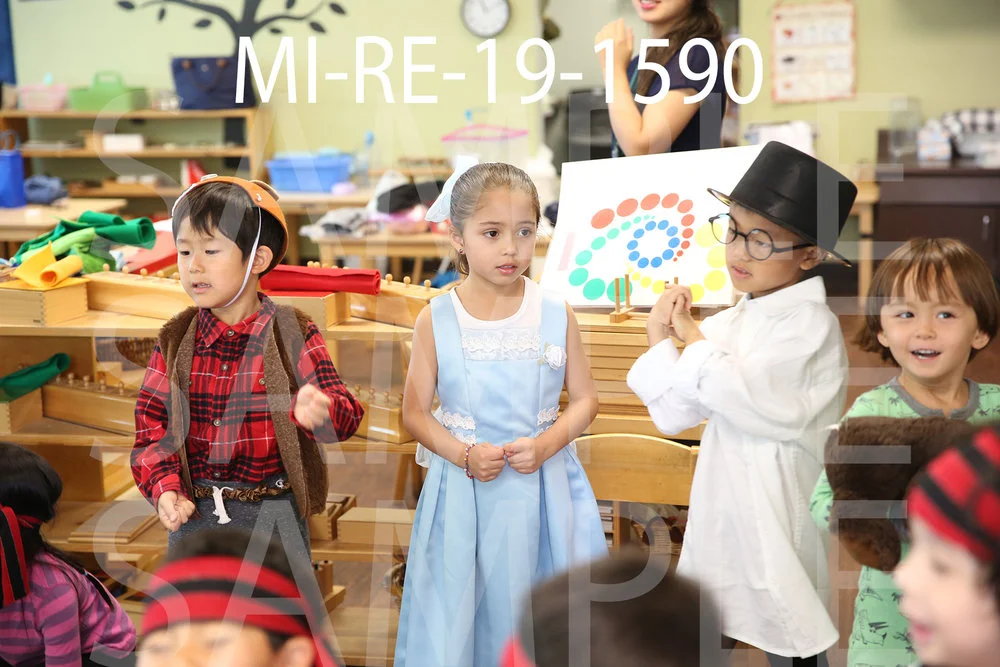 MI-RE-19-1590.jpg
