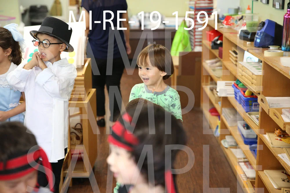 MI-RE-19-1591.jpg