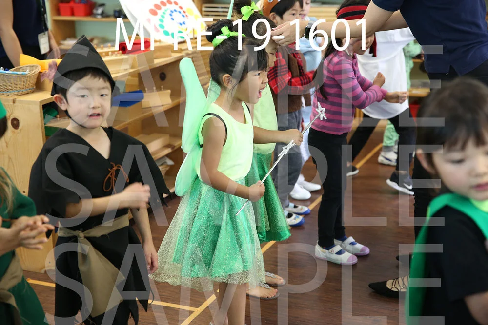 MI-RE-19-1601.jpg