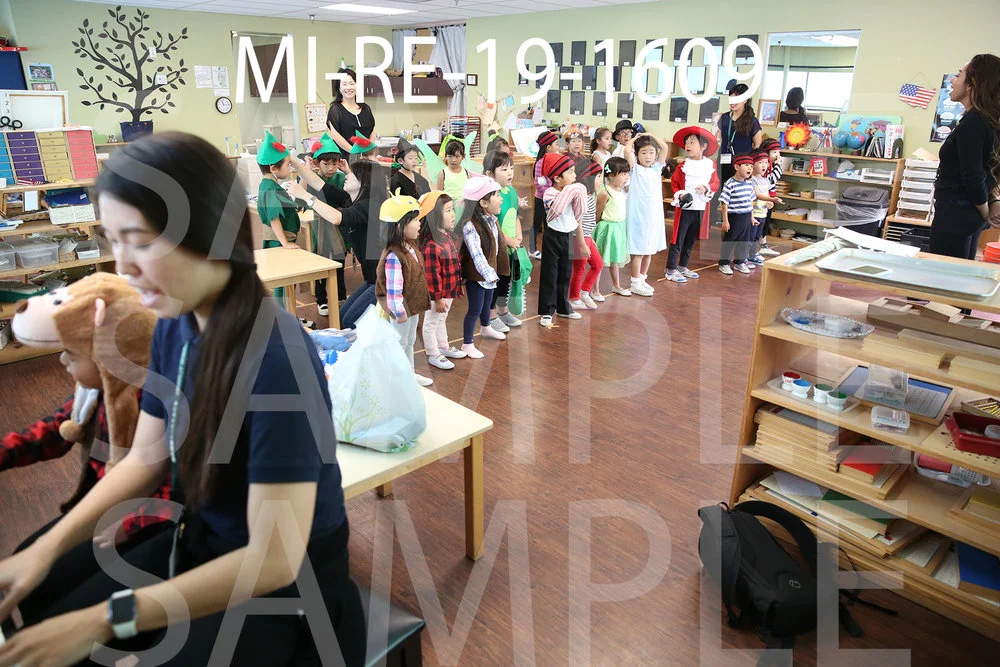 MI-RE-19-1609.jpg