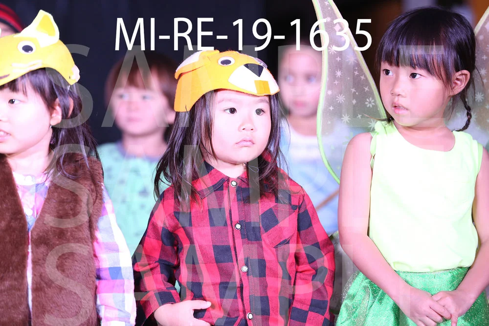 MI-RE-19-1635.jpg