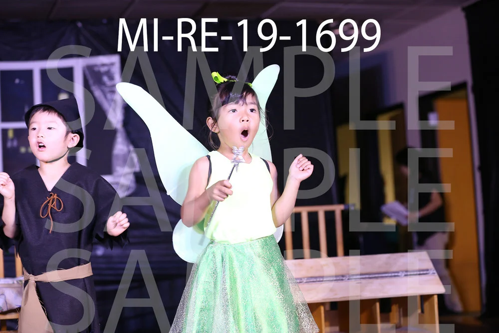 MI-RE-19-1699.jpg