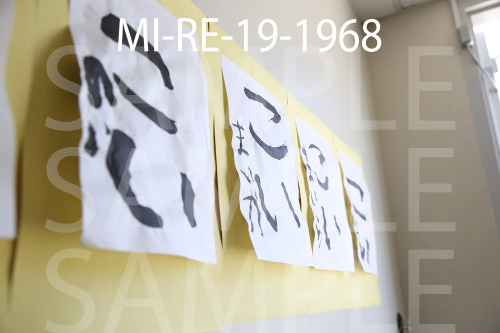 MI-RE-19-1968.jpg