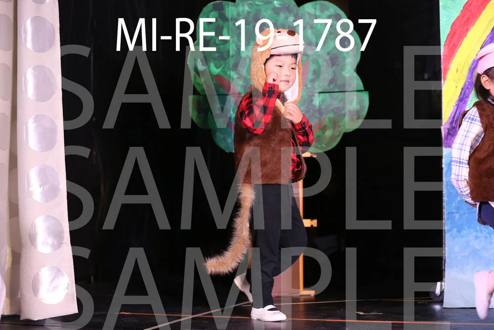 MI-RE-19-1787.jpg