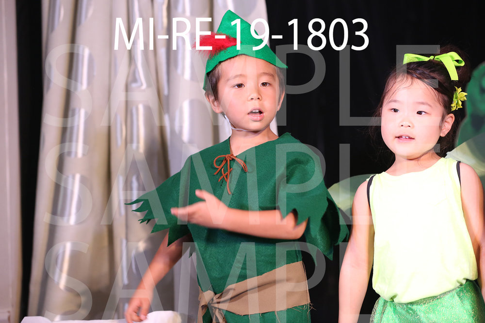 MI-RE-19-1803.jpg