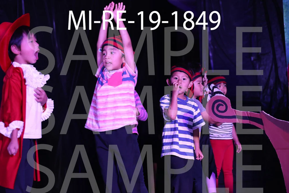 MI-RE-19-1849.jpg