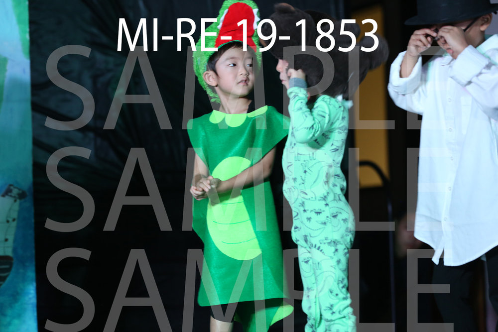 MI-RE-19-1853.jpg