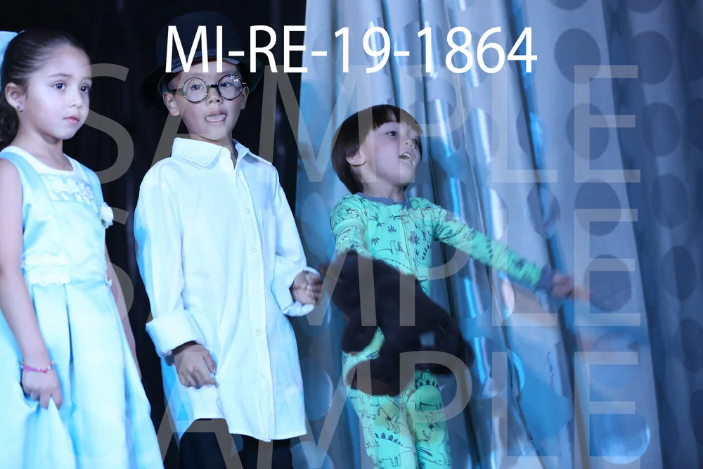 MI-RE-19-1864.jpg