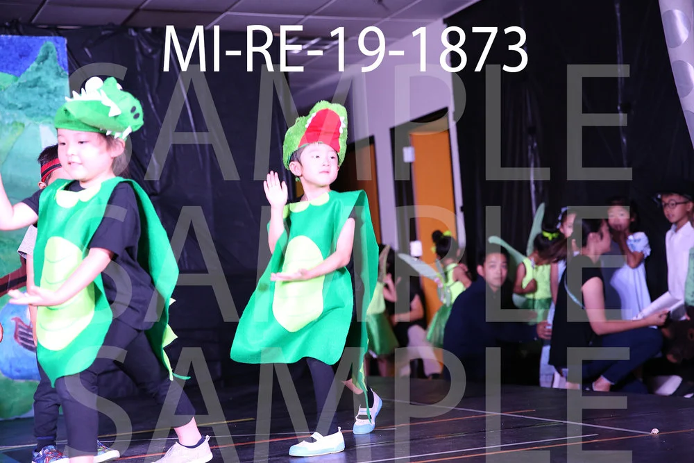 MI-RE-19-1873.jpg