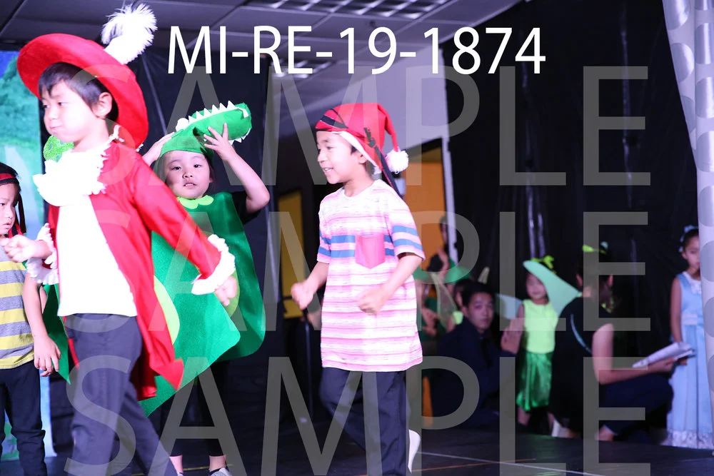 MI-RE-19-1874.jpg