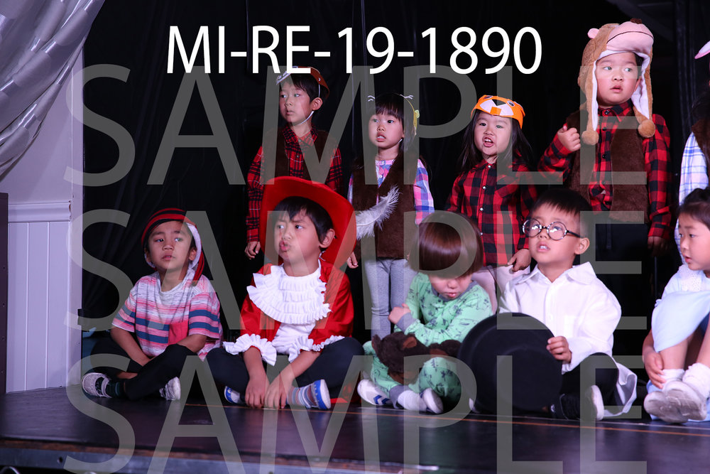 MI-RE-19-1890.jpg