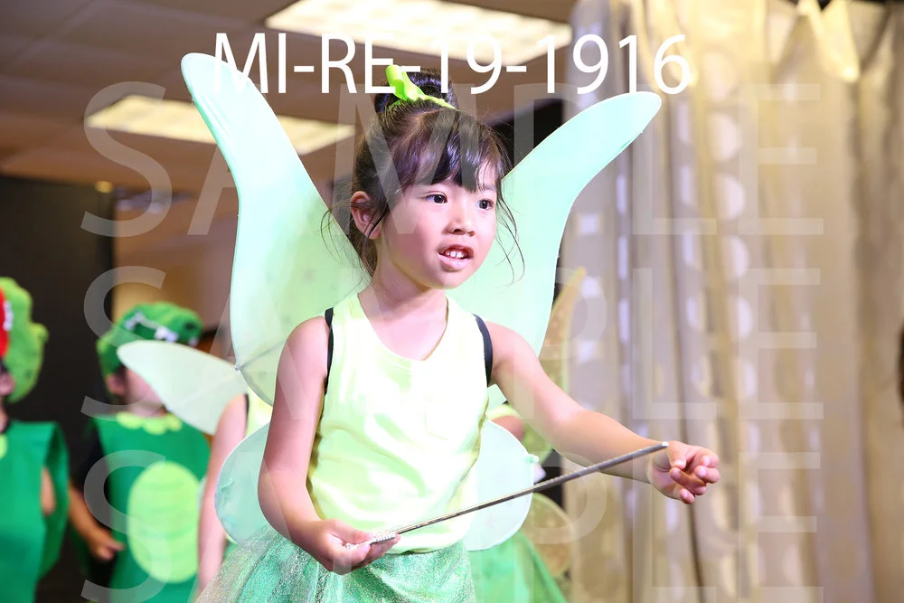 MI-RE-19-1916.jpg